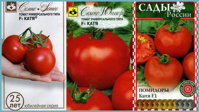 Описание и характеристика помидорного сорта Катя F1